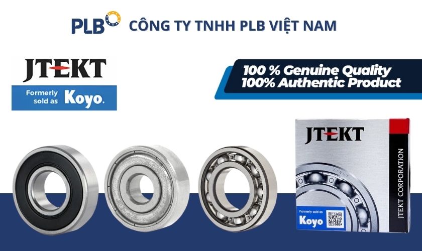 Kinh doanh vòng bi bạc đạn đang là lĩnh vực đầy tiềm năng tại Việt Nam